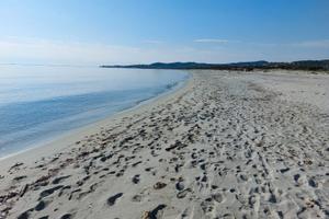 Disponibile dal 25 giugno al 13 luglio