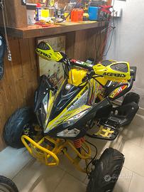 QUOAD 125 NCX