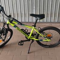 Mountain bike raggio 20