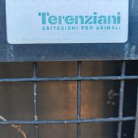 Recinzione in acciaio