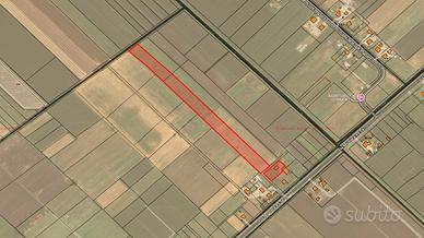 Terreno agricolo di 2 HA con stalla