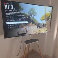 TV Samsung 55 pollici + Supporto TV Treppiedi
