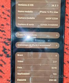 Iphone 12 Pro Max