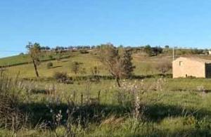 RGE 78/2017 Trib ENNA - LOTTO 11