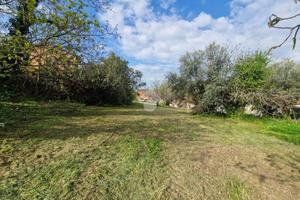 TER. RESIDENZIALE A NOTARESCO