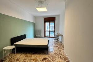 Ampia camera per studenti e lavoratori