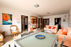 Appartamento - Belvedere Marittimo