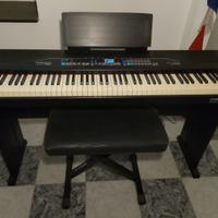 Furstein Farfisa DP 300 Pianoforte digitale
