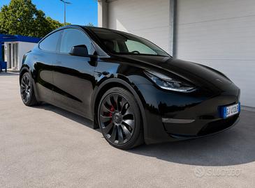 Model Y performance