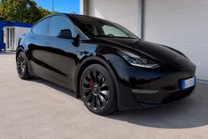 Model Y performance