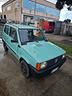 fiat-panda-900-i-e-cat-young