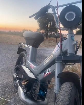 vespa 