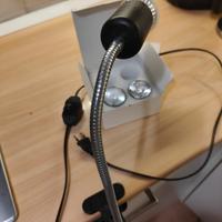 lampada ledbokli per rettili