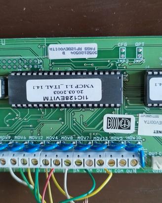 Modulo vocale Rokonet Risco RP128EV00ITA