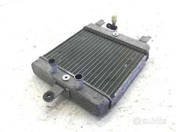 SUZUKI BURGMAN UH 200 RADIATORE ACQUA LIQUIDO RAFF
