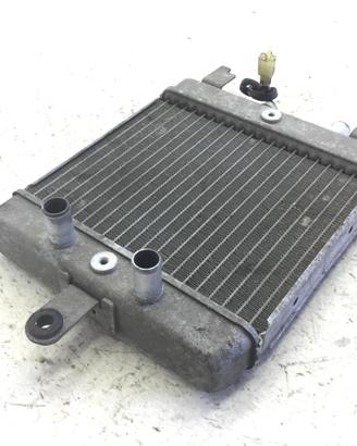 SUZUKI BURGMAN UH 200 RADIATORE ACQUA LIQUIDO RAFF
