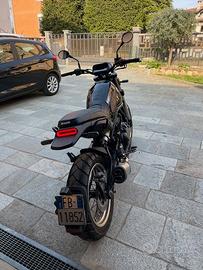 Benelli Leoncino Trail-2023