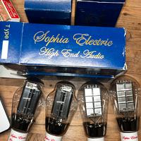 300b sophia electric carbon mesh