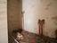 Immagine 7