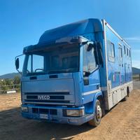 Van Trasporto Cavalli