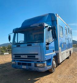 Van Trasporto Cavalli