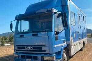 Van Trasporto Cavalli