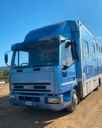 Van Trasporto Cavalli