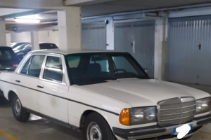 Mercedes 200-280 (w123) "gattone"