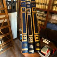 "Storia della Prima Guerra Mondiale" M. Silvestri