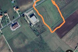Terreno con accesso S.P. 237 Alvito
