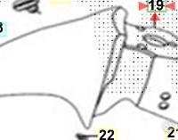 Parafango ant. SYM ST 50 / 125 / 200 blu