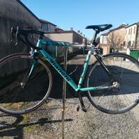 Bianchi TG 54 