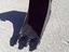 Immagine 9