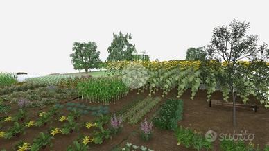 TER. AGRICOLO A QUARTU SANT'ELENA