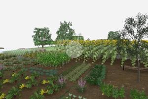 TER. AGRICOLO A QUARTU SANT'ELENA