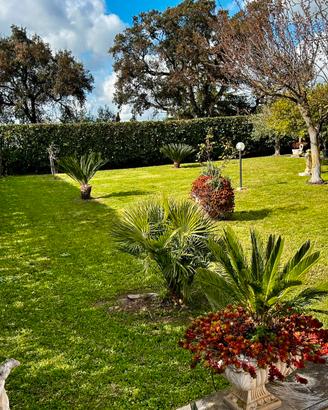 Villa indipendente con ampio giardino