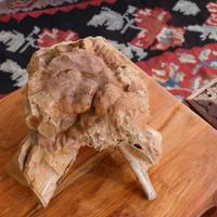 Sculture in legno su radice di teak PEZZI UNICI!!