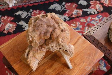 Sculture in legno su radice di teak PEZZI UNICI!!