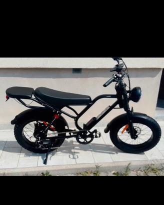 Bici elettrica 750 watt