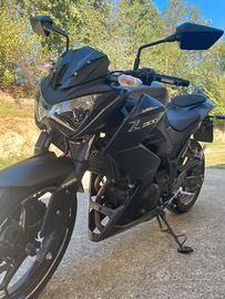 Kawasaki z300 abs