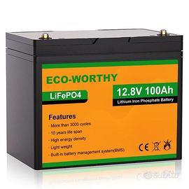 🔋 Batteria al litio LiFePO4 12.8V 100Ah EcoWorthy