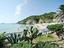 Immagine 25