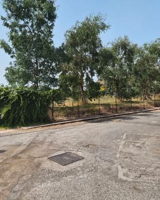 Terreno non edificabile ,Albano Laziale