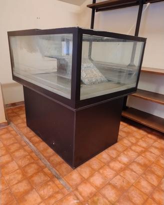 Enorme acquario da 500 litri 
