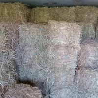 Erba medica in ballette