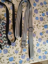 Pettorina e collare per cagnolini e gatti