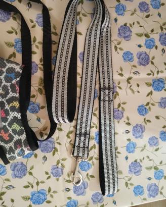 Pettorina e collare per cagnolini e gatti