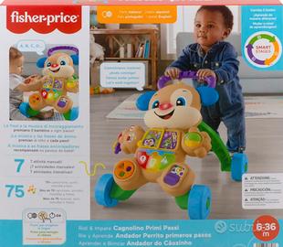 Cagnolino fischer-price primo passi