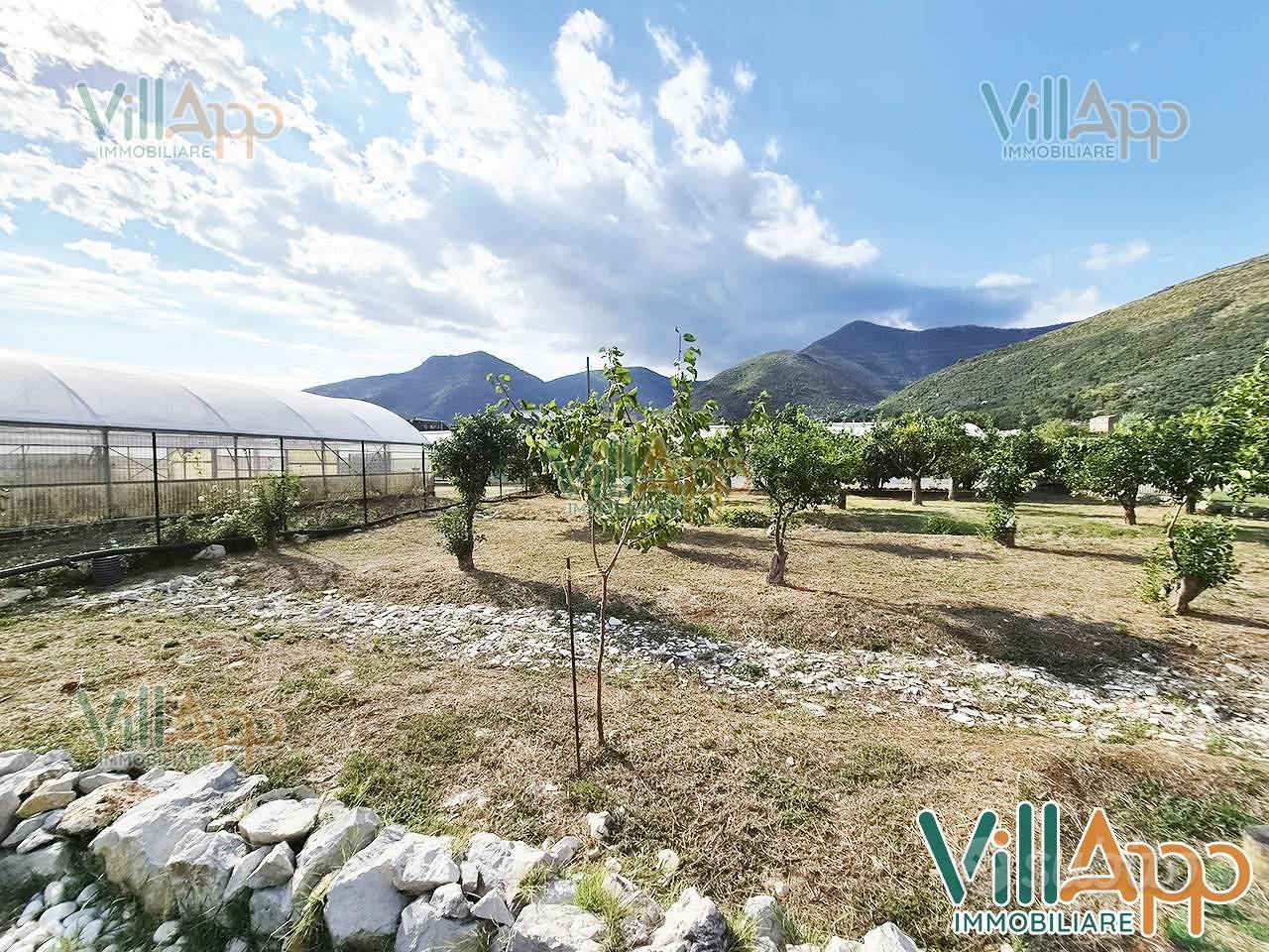 Terreno Agricolo - Fondi - Vista 5