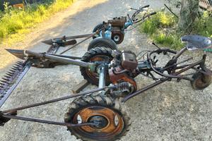 Motofalciatrice Bodogni 